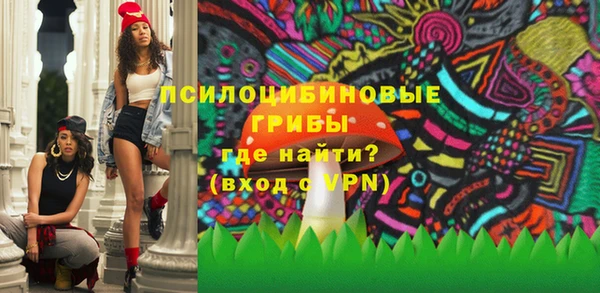 синтетический гашиш Ленинск-Кузнецкий