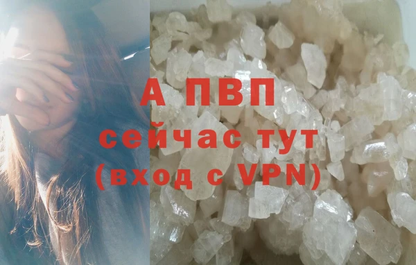 дживик Осташков