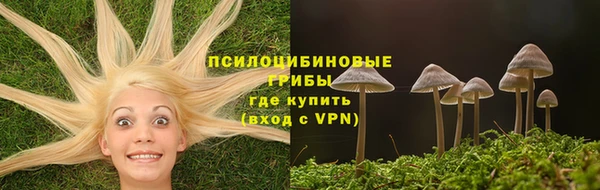 дживик Осташков