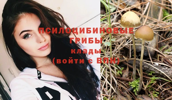 дживик Осташков